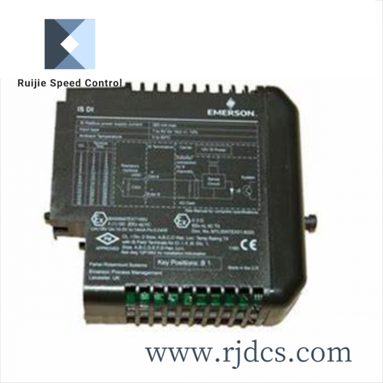 Emerson 3233200T01