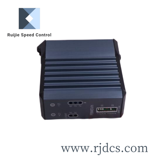 FOXBORO 202S-10-SSNSSSSSSN