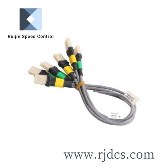 Honeywell FS-IOBUS-CPIO4