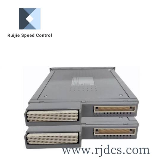 ICS TRIPLEX T8191