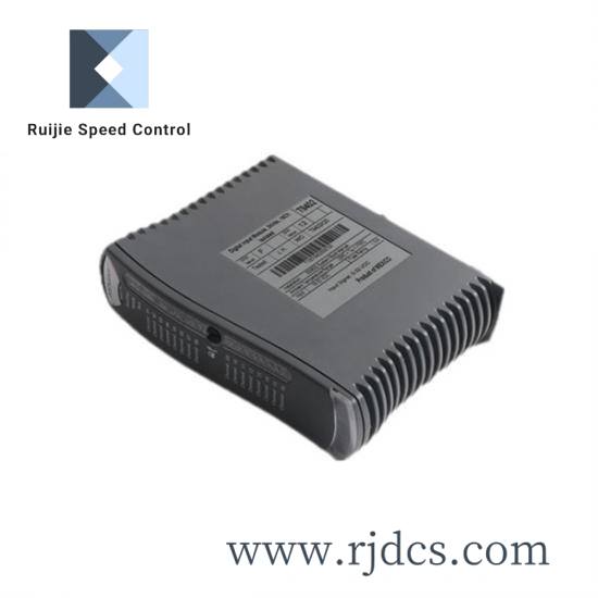 ICS TRIPLEX T9481