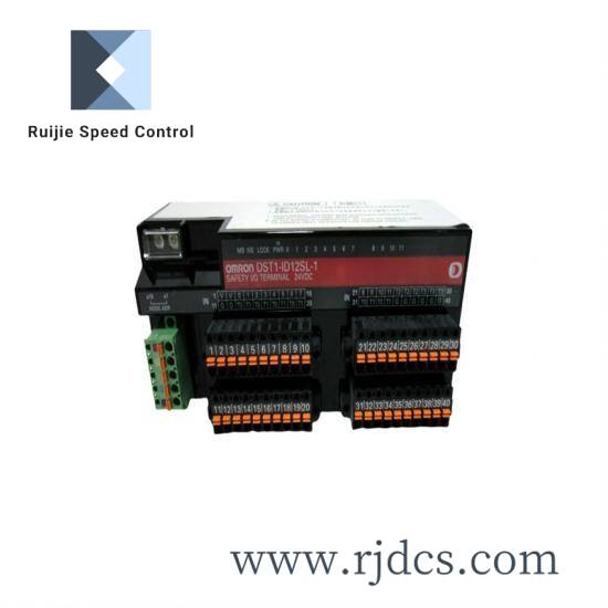 OMRON CS1D-DPL01