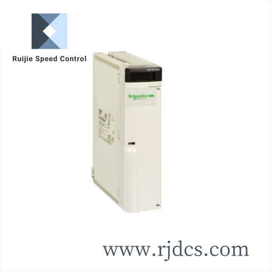 SCHNEIDER AS-BDEP-218