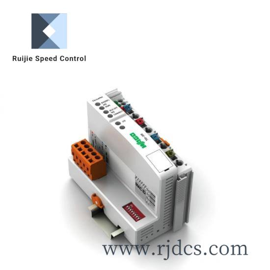 LEYBOLD RUVAC WS501 PFPE US