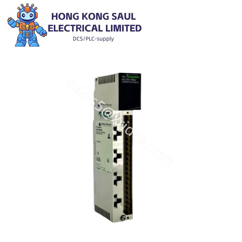 SCHNEIDER SH100/50030/0/1/00/00/00/10/00