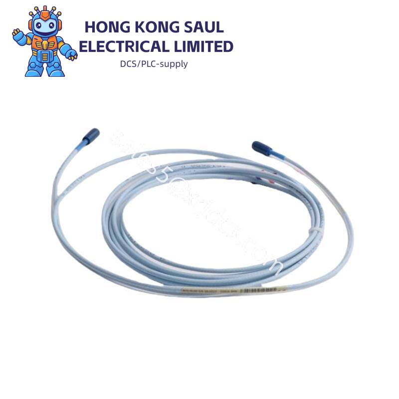 Bently Nevada TM0180-A07-B00-C06-D10