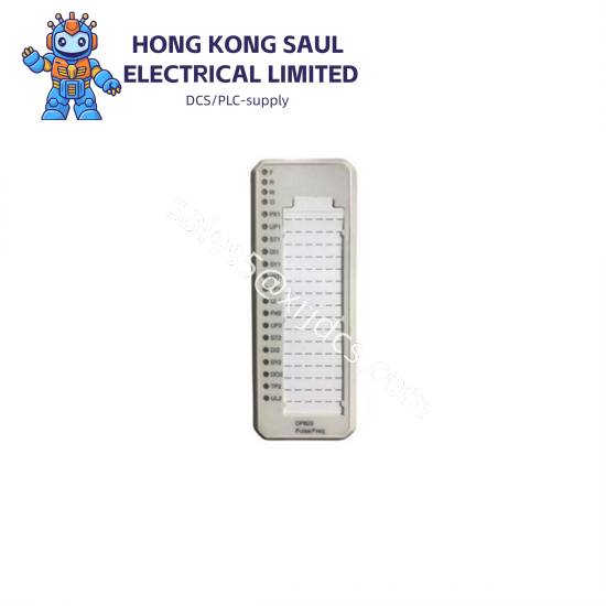 ABB 3BSE013228R1 DP820