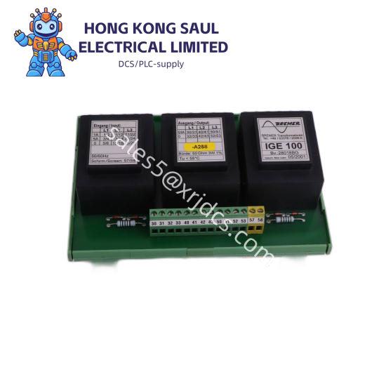 ACUITY IMAGING INC 070-200000