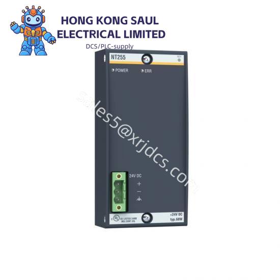 Bachmann CP-317/AI-01