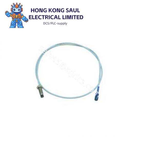 Bently Nevada 900800XL-090-03-01