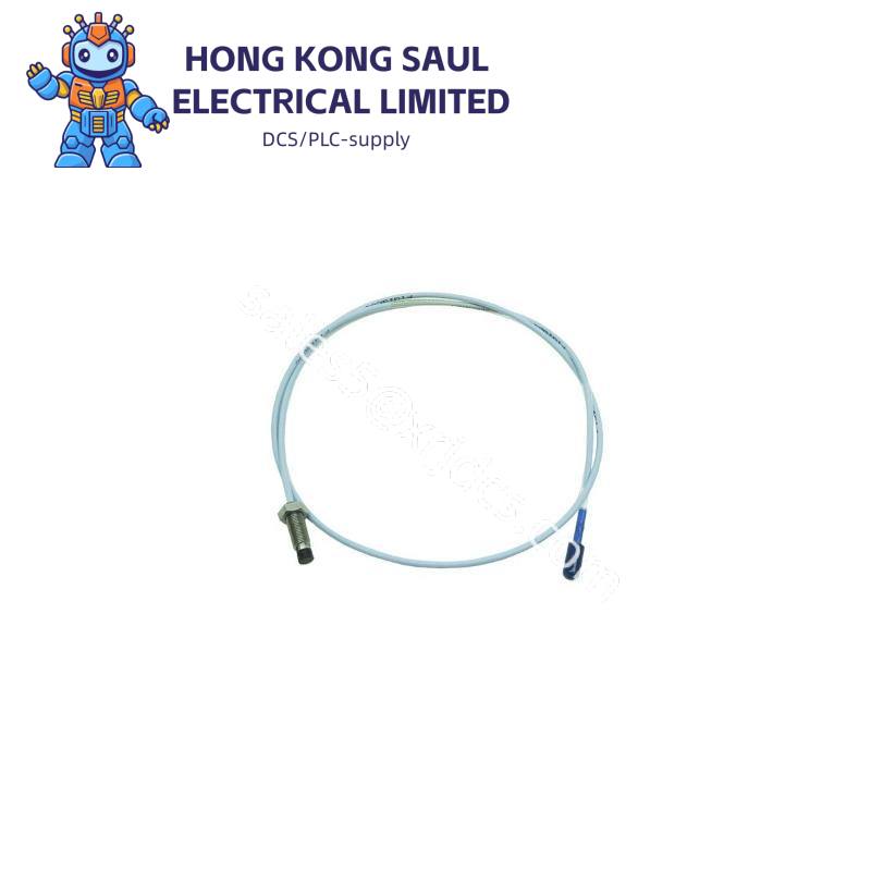 Bently Nevada 330101-00-12-10-02-CN