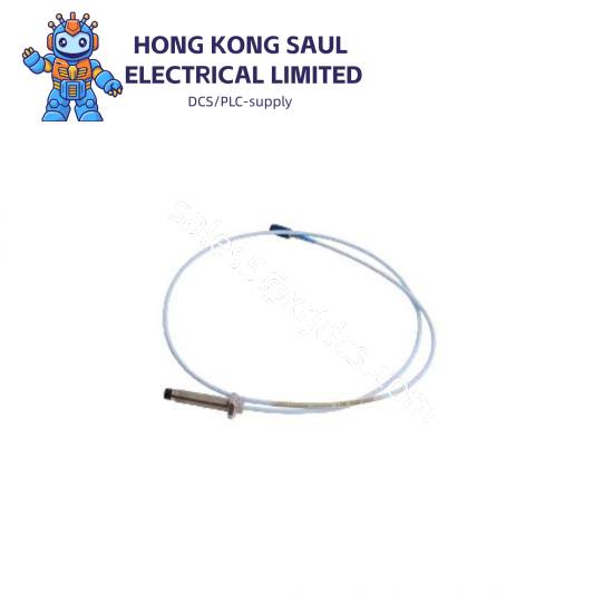 Bently Nevada 330103-00-06-10-02-00