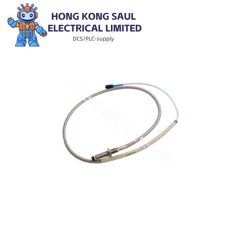 Bently Nevada 3500/50M-01-00