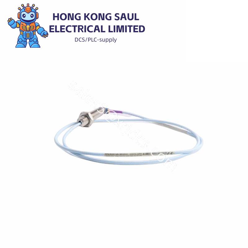 Bently Nevada 330703-000-060-10-02-CN