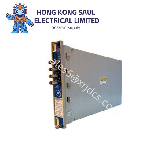 Bently Nevada 330704-000-060-10-02-00