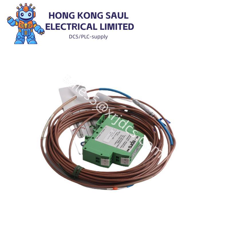 Emerson R2B0N6N2N3A0A