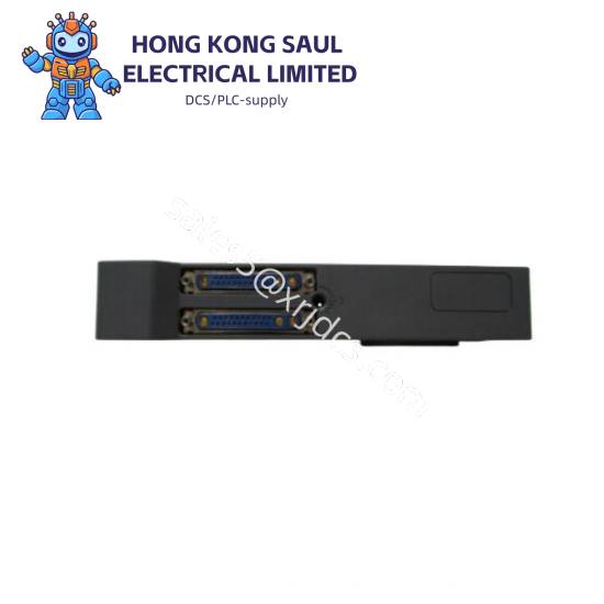 Emerson R2X4N1D1A2T1A