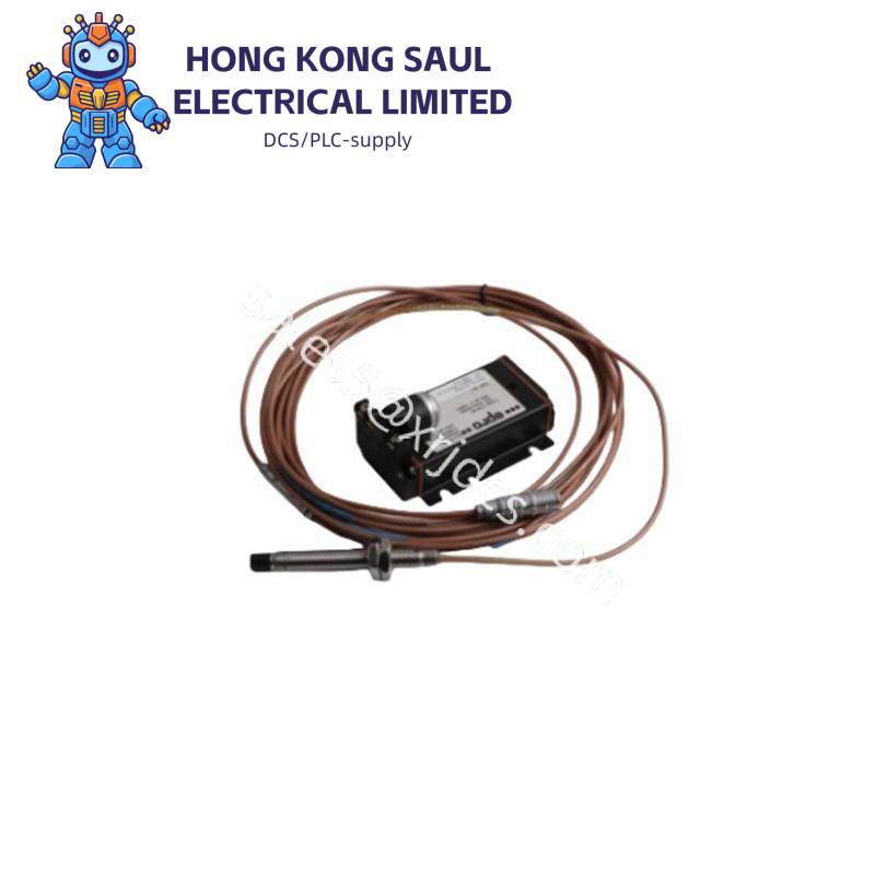 Emerson IC830M24F-CK9NCA00