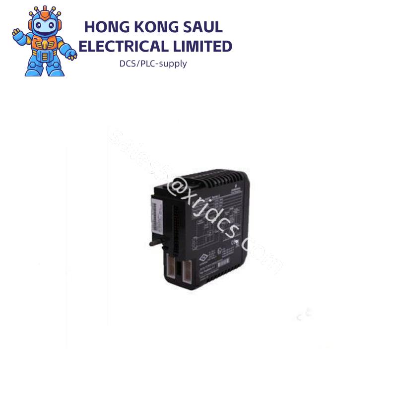 Emerson R2E0N1C0A1T0A