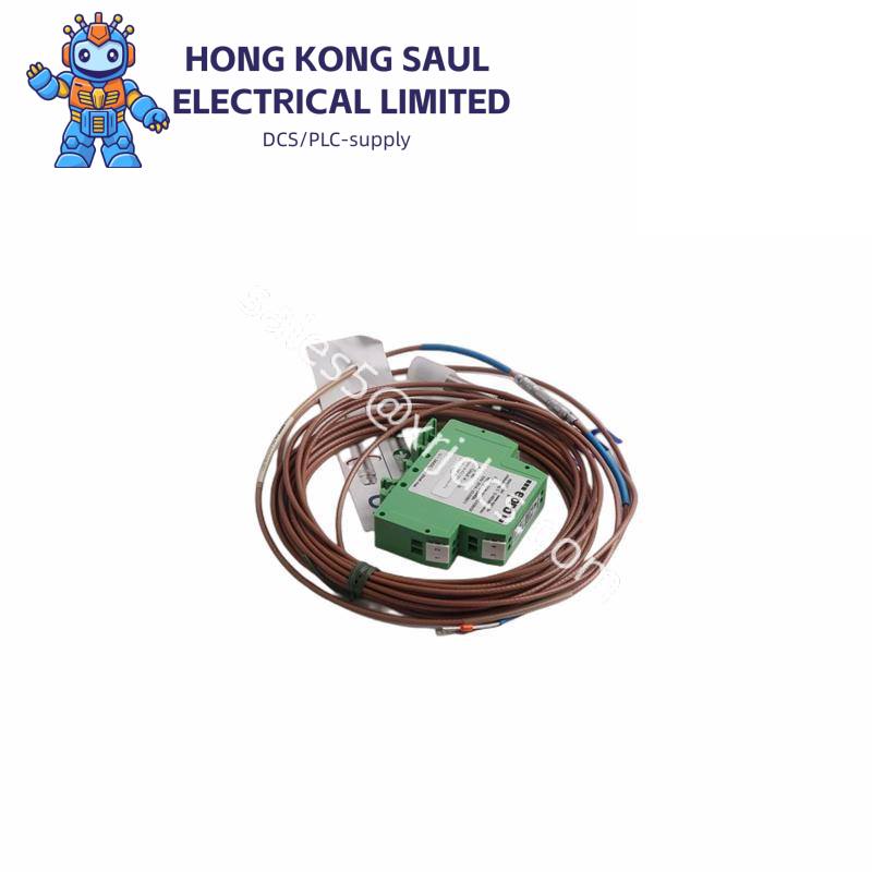 LEYBOLD WA501 / D65BC