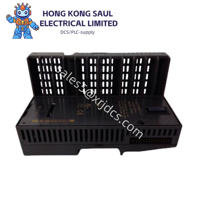 GE Fanuc IC200ALG264H