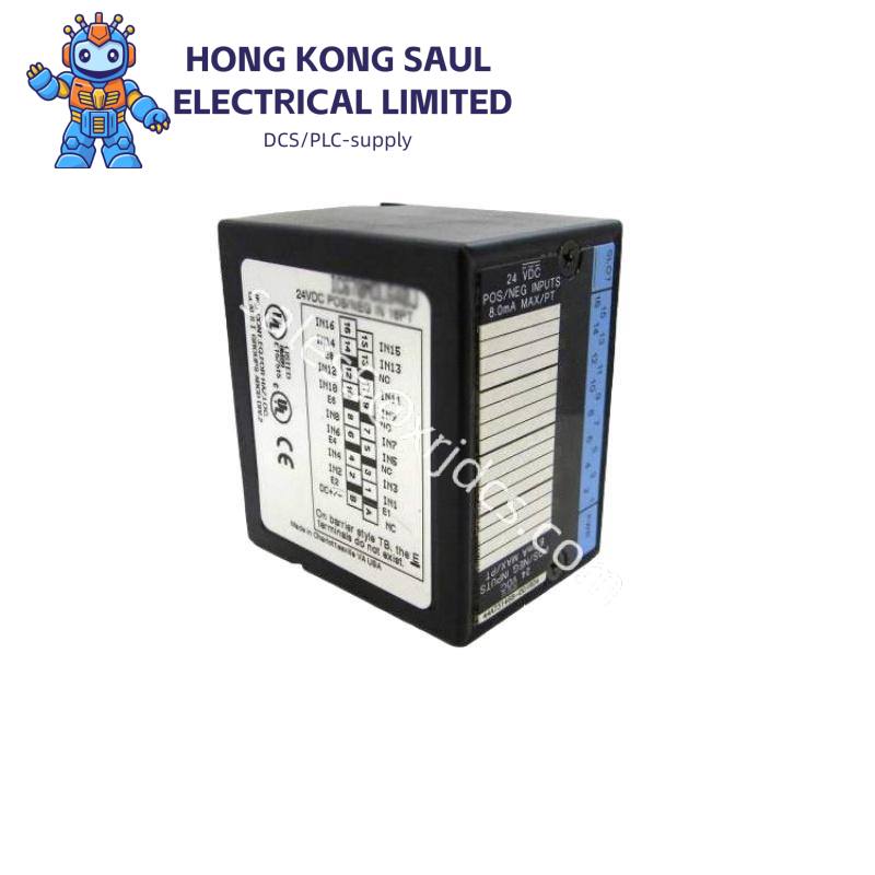 GE IC670ALG310