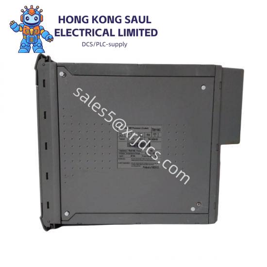 ICS TRIPLEX T8110C