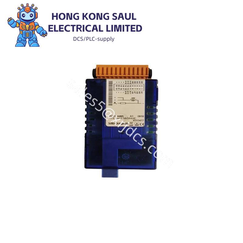SAIA PCD2.W600