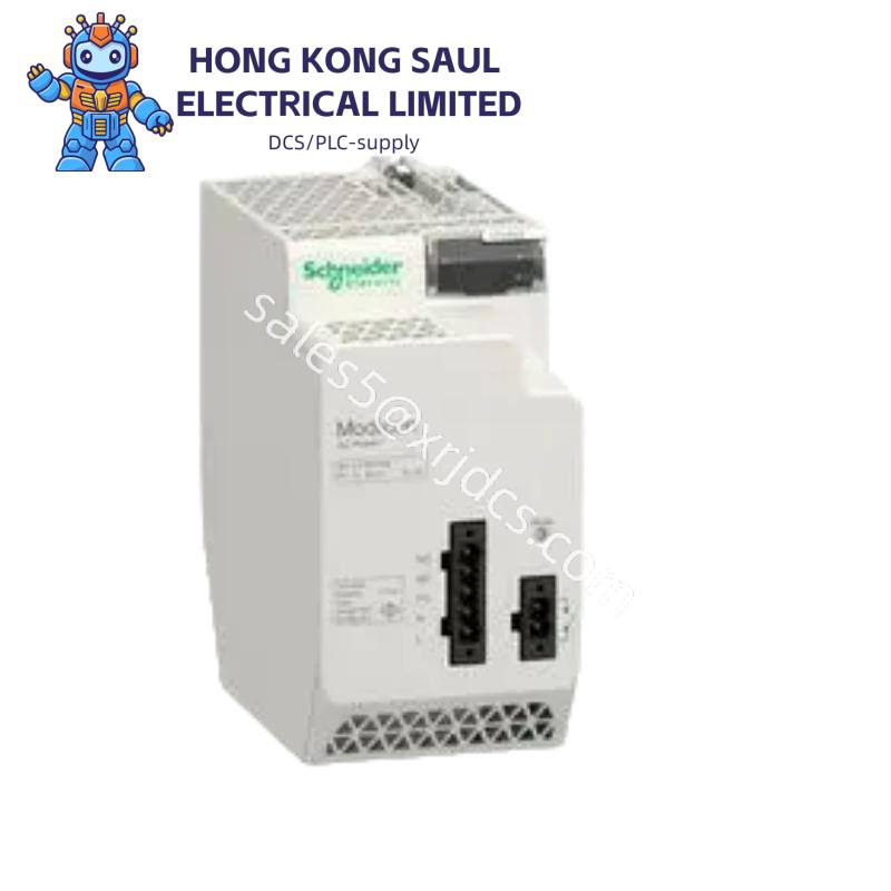 Schneider AS-BSIM-216