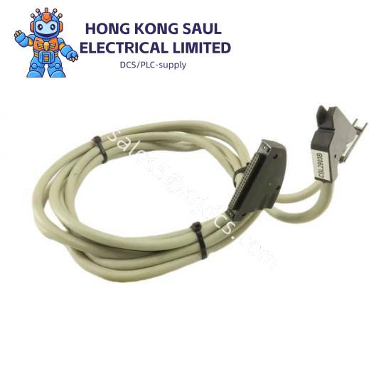 SCHNEIDER BMXDDI1602