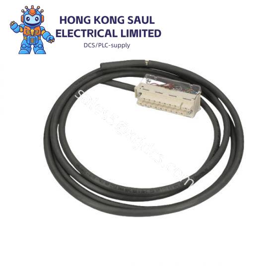 Schneider X80-D BMXFTW301S