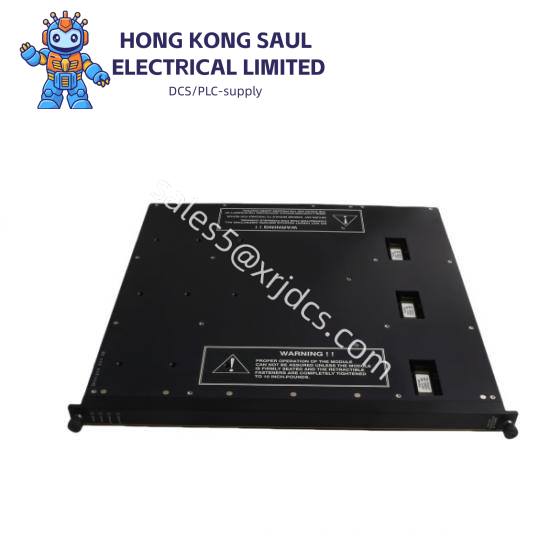 TRICONEX 4000029-010