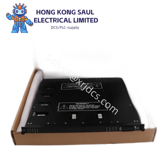 TRICONEX MP6004