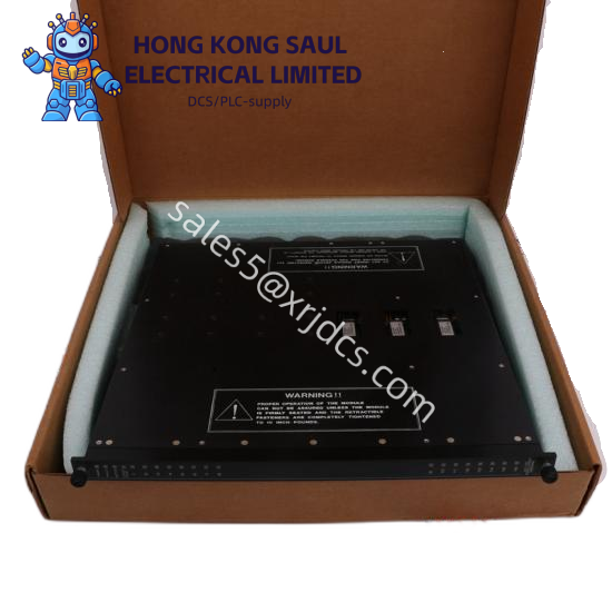TRICONEX MP6004