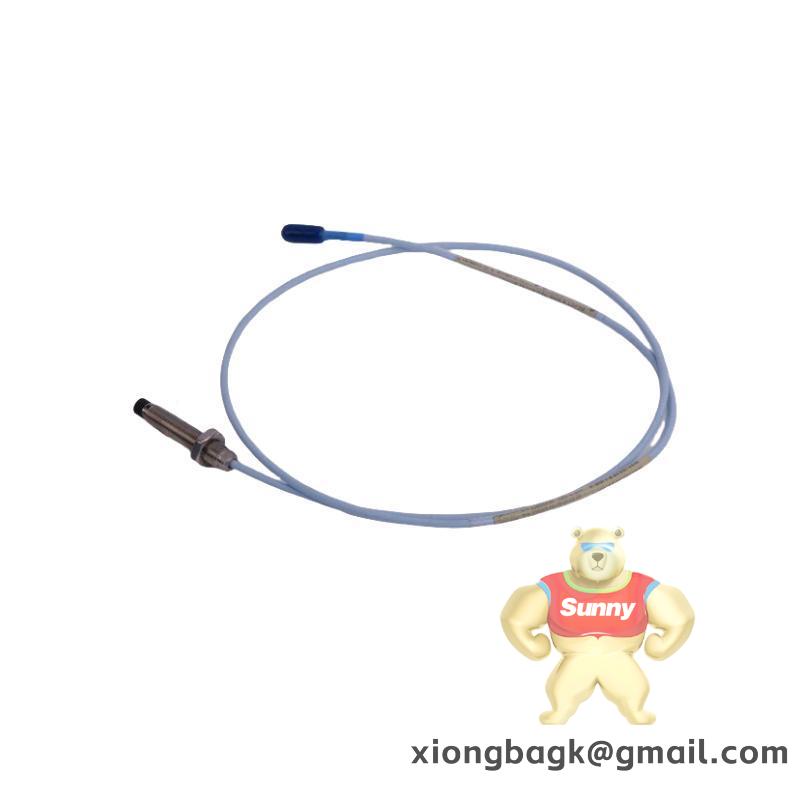 Bently Nevada 3300/20-12-01-03-00-01