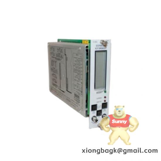 Bently Nevada 3300/53-02-01-00-20-20-00-00-00