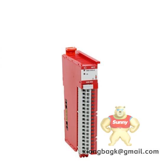 Schneider Electric 1732DS-IB8XOBV4