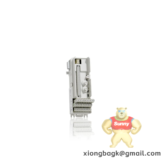 336A4906G1