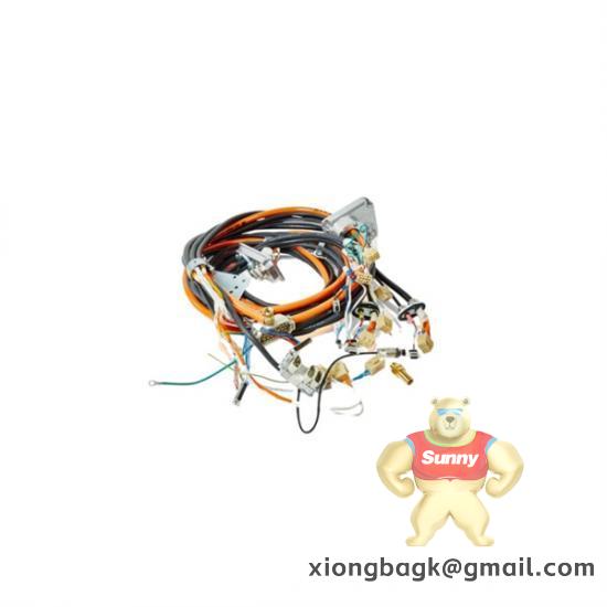 ABB MSK060C-0300-NN-M1-UG0-NNN