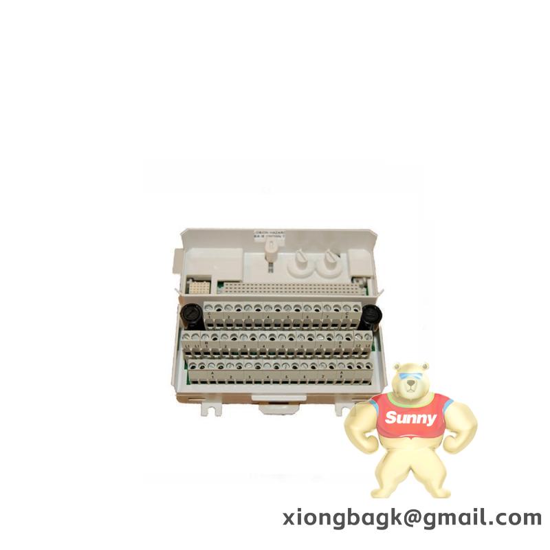 ABB 3BSE013250R1 DO821