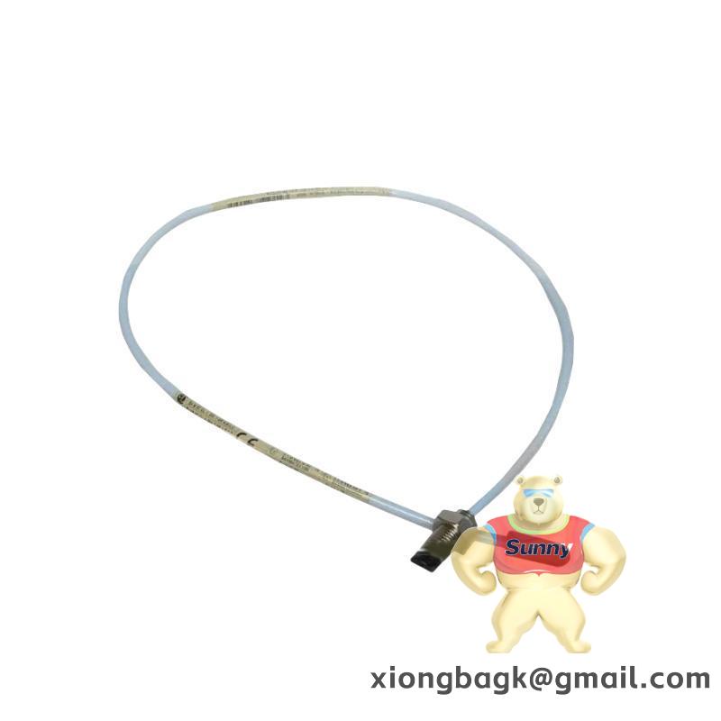 BENTLY 330104-00-13-10-02-CN