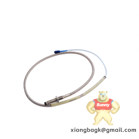 BENTLY NEVADA 125768-01