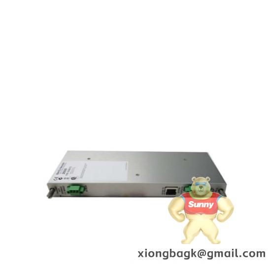 Bently 3500/22-01-01-00 146031-01