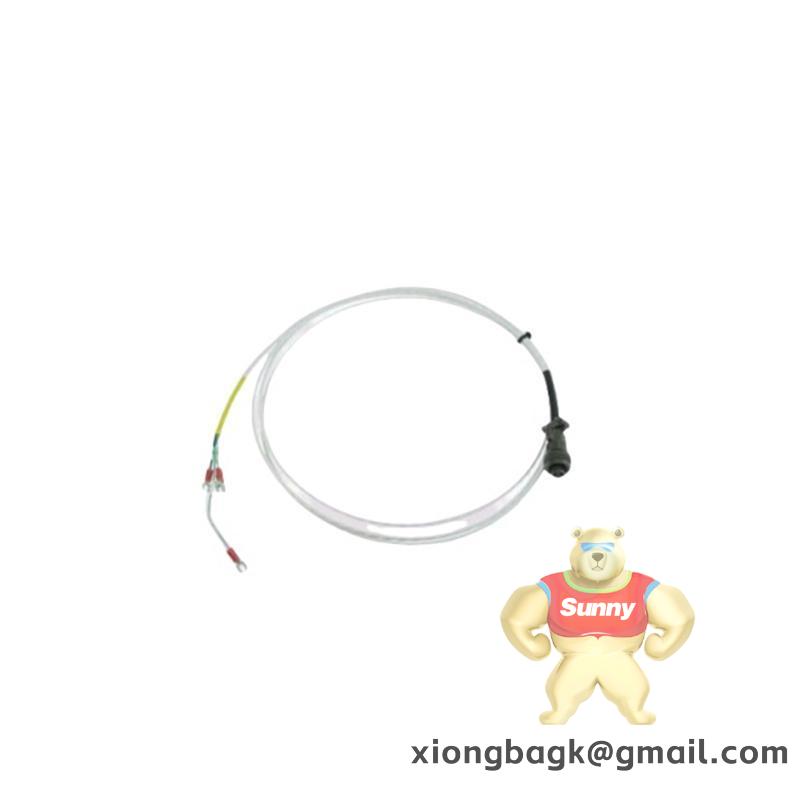 Bently Nevada 16710-25