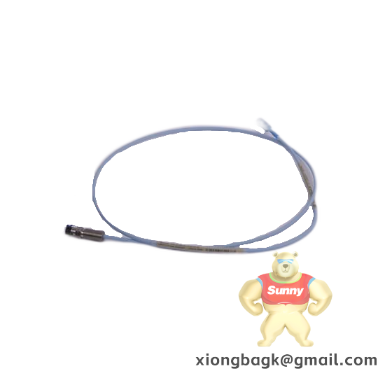 Bently Nevada 3500/62-03-00