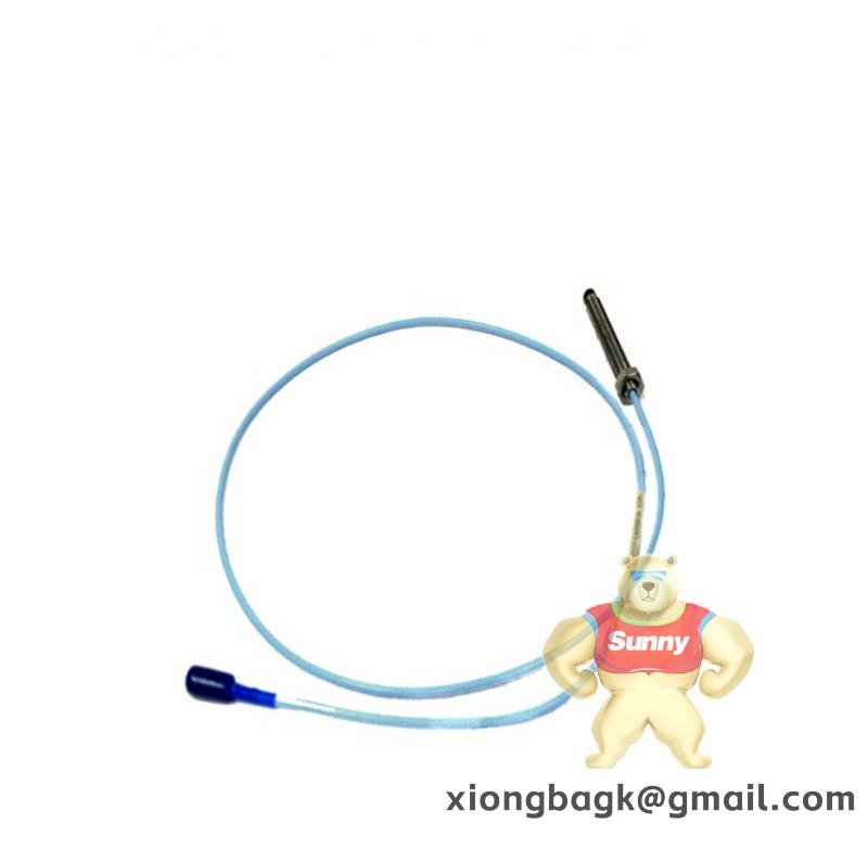 BENTLY 3500/22M（新款前卡）