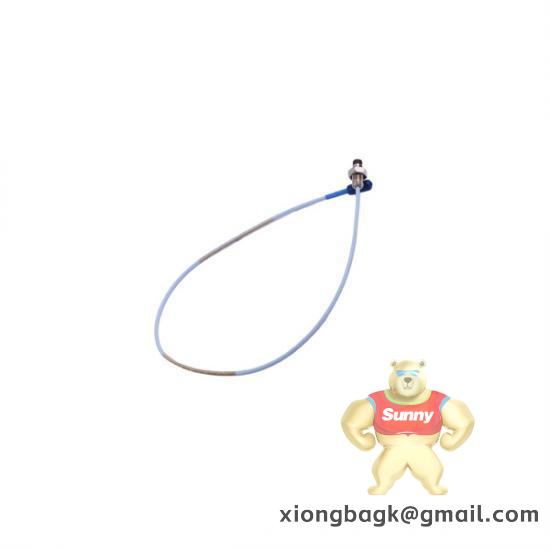 Bently 19000-00-22-18-02