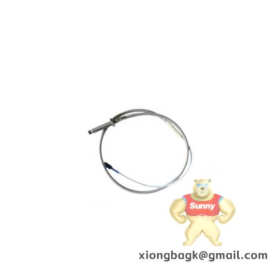 Bently 1900/55-01-01-01-00