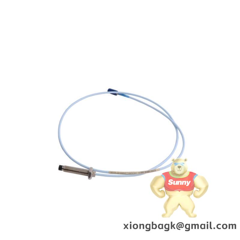 Bently Nevada 330103-00-11-10-02-CN