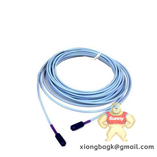 Bently Nevada RS900106-05-30-05-02-00